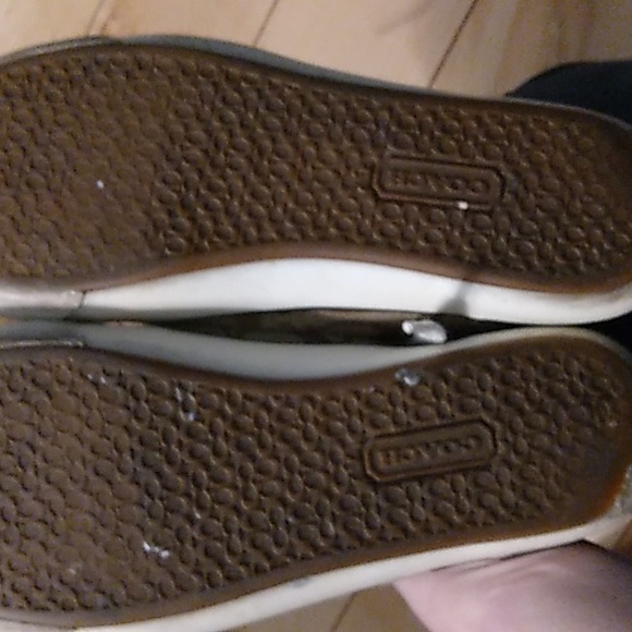 Coach Brown and White Sneakers - Picture 4 of 6